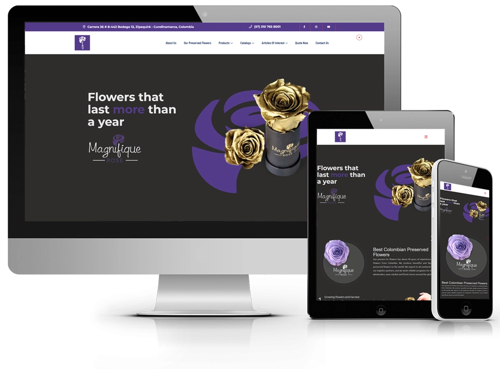 Mockup Web SIte Magnifique Rose