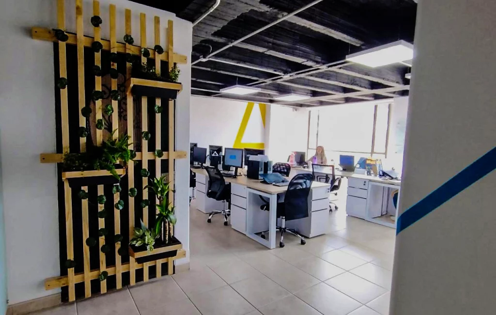 Decoracion Entrada oficina Maat